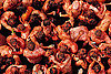 Photo Gallery: La Tomatina 2009