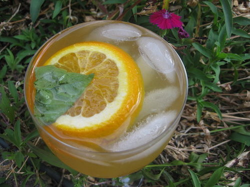 Orange Basil White Wine Sangria Recipe