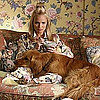 Quiz About TV Dogs