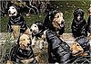 Montcler's New Ads Star a Few Four-Legged Models