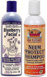 Tune In! The Lazy Environmentalist Greens Up Dog Grooming