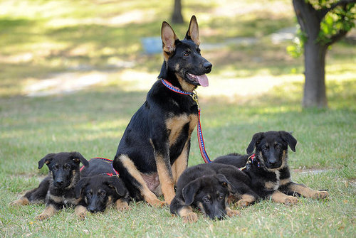 Meet Trustt, Solace, Prodigy, Valor and Dejavu Meet Trustt, Solace, Prodigy, Valor and Dejavu