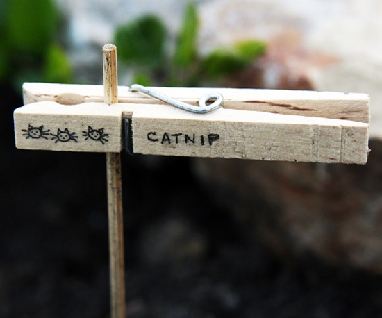 How to Grow