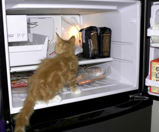 How to Store How to Store