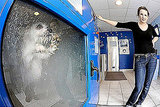 Brilliant or Baffling? Dog-o-Matic Washing Machine Brilliant or Baffling? Dog-o-Matic Washing Machine