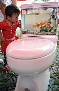 Brilliant or Baffling? Fishtank Toilet