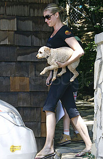 Has Rebecca Romijn Added A New Puppy to Her Family?