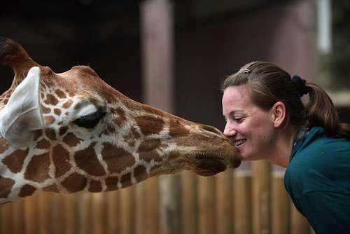 Meet This Record Breaking Zoo Babe! Meet This Record Breaking Zoo Babe!