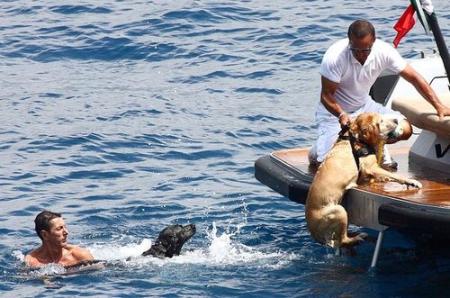 Found! Dolce and Gabbana's Dogs Enjoy Cool Water Found! Dolce and Gabbana's Dogs Enjoy Cool Water