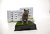 Would Your Cats Use the Kitty Kat?