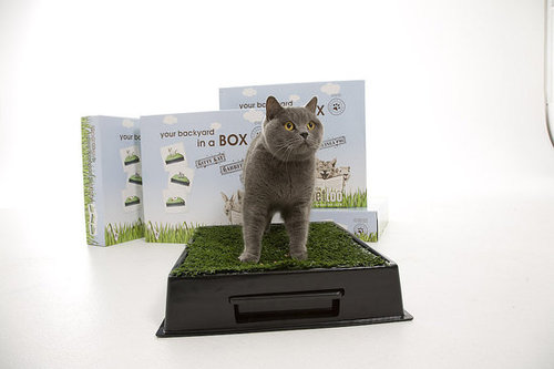 Would Your Cats Use the Kitty Kat?