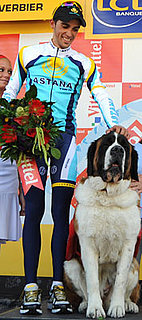 All About Grand-Saint-Bernard and Petit-Saint-Bernard!