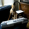 Who's the Bigger Musical Prodigy: Porter or Nora?