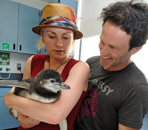 Photos of Anna Paquin and Steven Moyer at Sea World in San Diego Photos of Anna Paquin and Steven Moyer at Sea World in San Diego