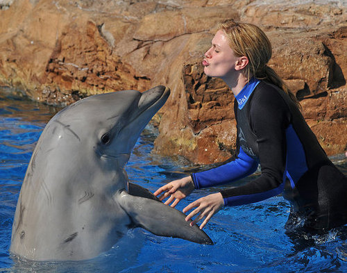 Photos of Anna Paquin and Steven Moyer at Sea World in San Diego Photos of Anna Paquin and Steven Moyer at Sea World in San Diego