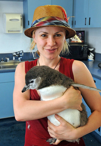 Photos of Anna Paquin and Steven Moyer at Sea World in San Diego Photos of Anna Paquin and Steven Moyer at Sea World in San Diego