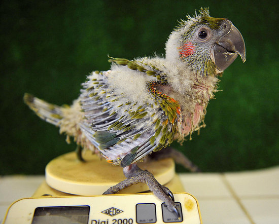 Weigh In