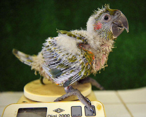 Weigh In Weigh In