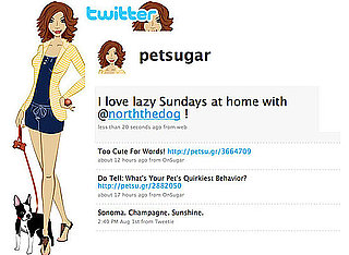 Follow PetSugar on Twitter! 