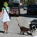 What Happened This Week on PetSugar (8/3-8/7)? What Happened This Week on PetSugar (8/3-8/7)?