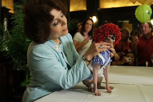 Raggedy Anne Raggedy Anne