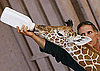 Awww, a Baby Giraffe Hits the Bottle 