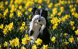 What's Your Take: "Human" Names For Pets?