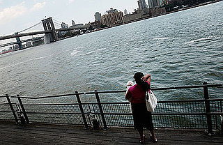 Do Tell: What's the Pet-Friendliest City?