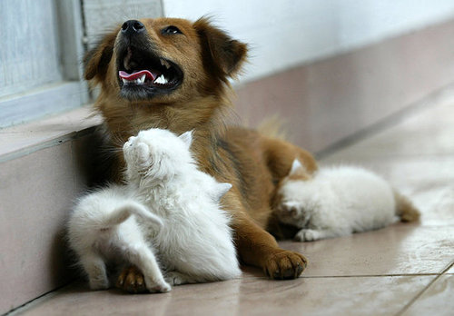 Playtime? Playtime?