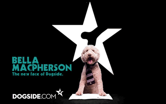 Bella MacPherson, Fashion Snout