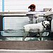 Hydrotherapy