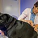 Acupuncture