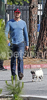 The Scoop: Gerard Butler in the Middle of a Dog Fight