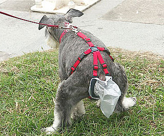 The PooTrap: Spoiled Sweet or Spoiled Rotten?