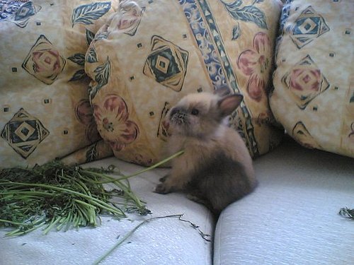 Help, I've Fallen Help, I've Fallen