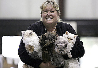 Guess What Breed?