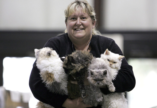 Guess What Breed?