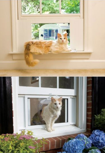 Windoor Windoor