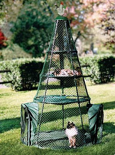 The Cat Teepee: Spoiled Sweet or Spoiled Rotten?