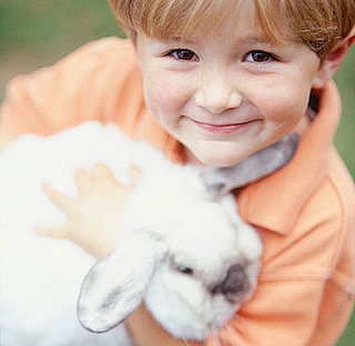 Ever Had a Pet Rabbit?