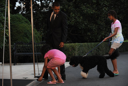 Even More Bo! First Dog Frolics With First Family Even More Bo! First Dog Frolics With First Family
