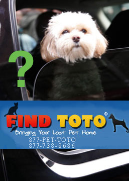 How "FindToto" Works . . . and Will It Work For Jess?