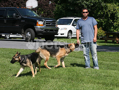 Jon Gosselin's Last Day With Shooka and Nala Jon Gosselin's Last Day With Shooka and Nala