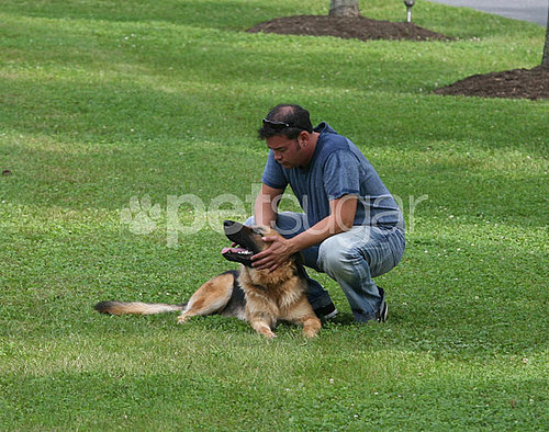 Jon Gosselin's Last Day With Shooka and Nala Jon Gosselin's Last Day With Shooka and Nala