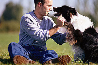 Cat Owners Eight Times More Likely to Have MRSA at Home