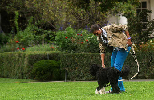 Michelle Obama Walking Bo on the South Lawn Michelle Obama Walking Bo on the South Lawn