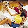 Do Tell: Would You Get a Dog With a Partner Before Marriage?