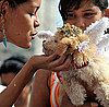 Will Your Pets Dress Up For Halloween?