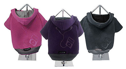 iWoof Hoody: Spoiled Sweet or Spoiled Rotten?