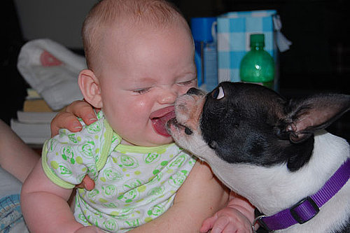 Too Cute For Words!
